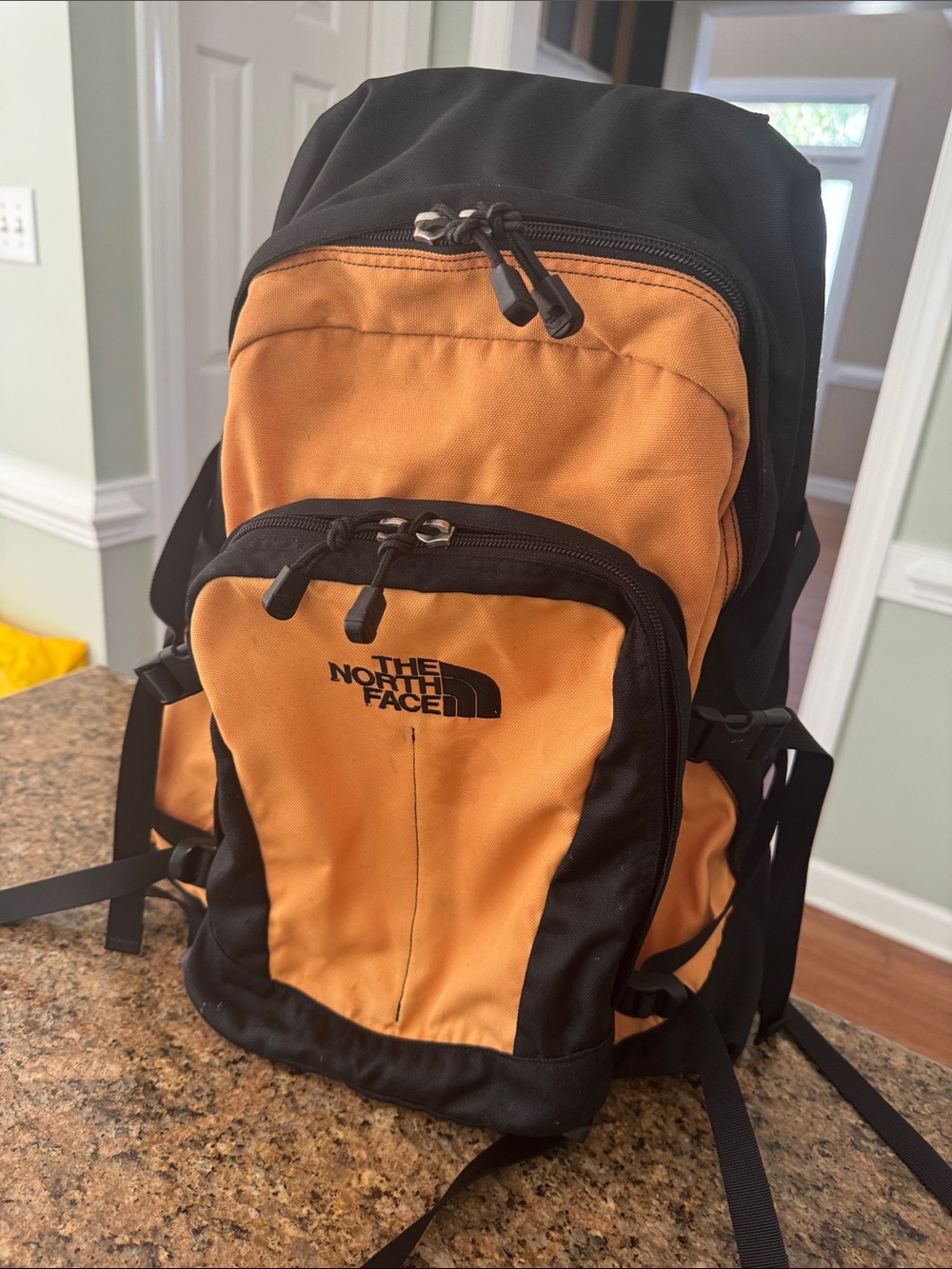THE NORTH FACE BACKPACK